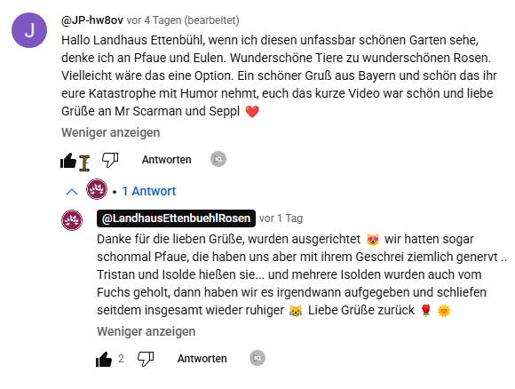 YT-Kommentare 580px – 11