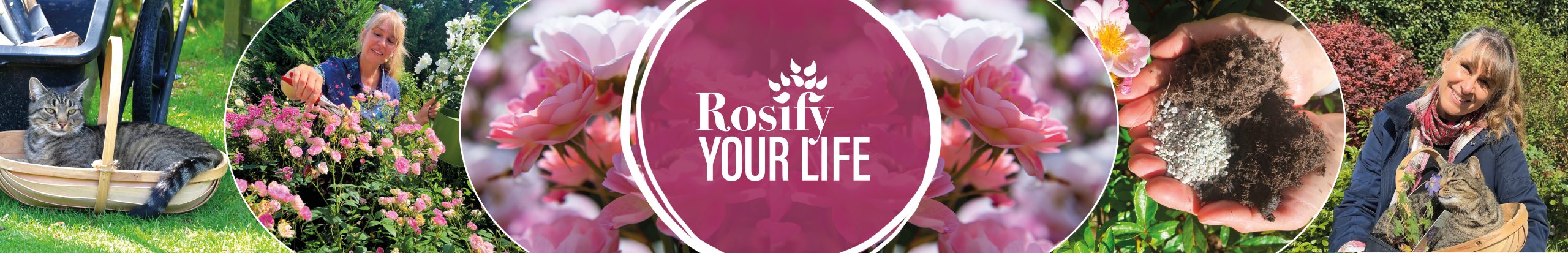 Rosify Your Life Logo